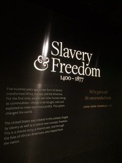 Professor: U.S. Constitution ‘was Designed to Entrench Slavery’