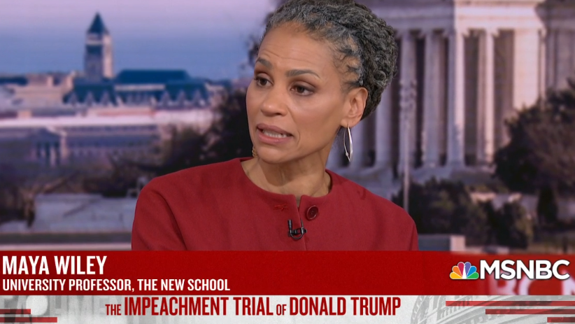 Liberal professor claims Trump impeachment trial made the Constitution a victim